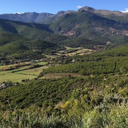 Belle Villa A Misincu- A Deux Pas De La Plage Cagnano Kültér fotó