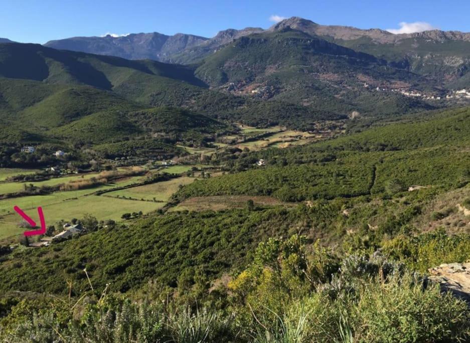 Belle Villa A Misincu- A Deux Pas De La Plage Cagnano Kültér fotó