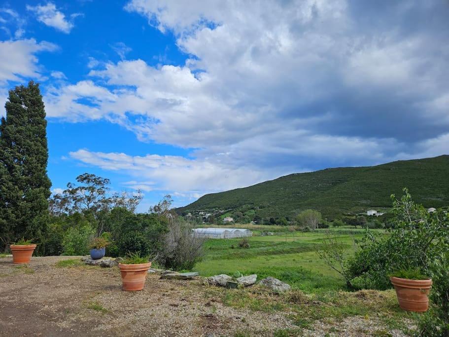 Belle Villa A Misincu- A Deux Pas De La Plage Cagnano Kültér fotó