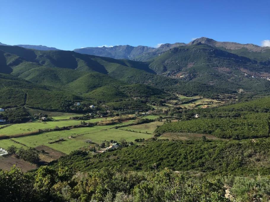 Belle Villa A Misincu- A Deux Pas De La Plage Cagnano Kültér fotó