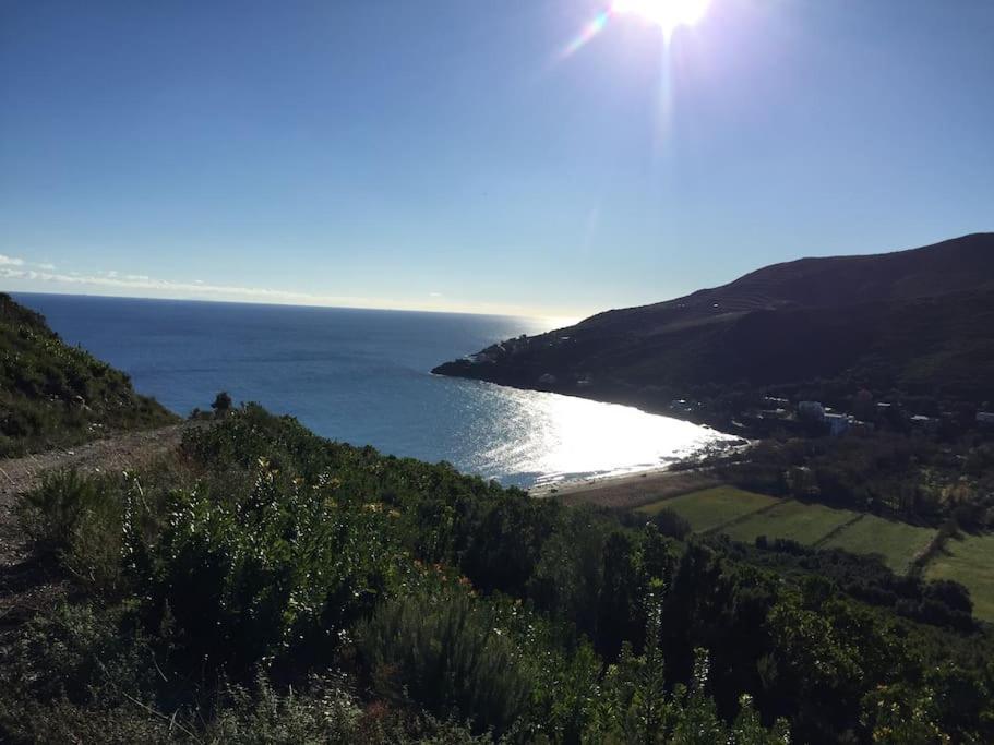 Belle Villa A Misincu- A Deux Pas De La Plage Cagnano Kültér fotó